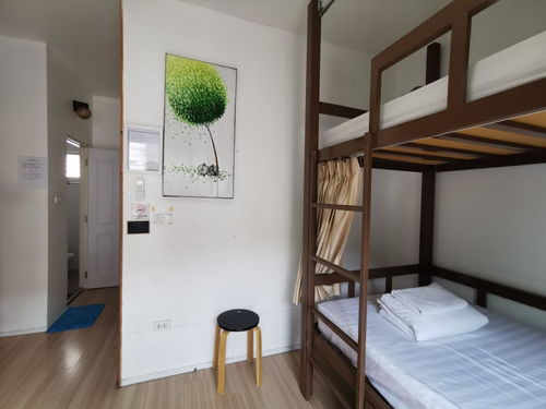 探索清邁新潮流 Bunk Boutique Hostel Chiang Mai雙層精品旅館，Agoda輕松訂房體驗